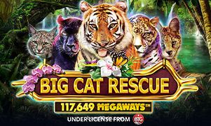 Hình ảnh trò chơi Big Cat Rescue Megaways tại bong99vip